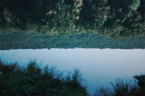 the water at weiser state forest reflecting trees in the distance